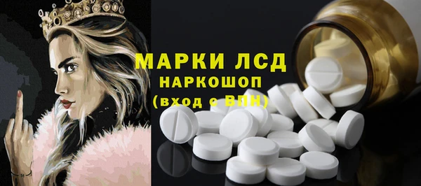индика Беломорск