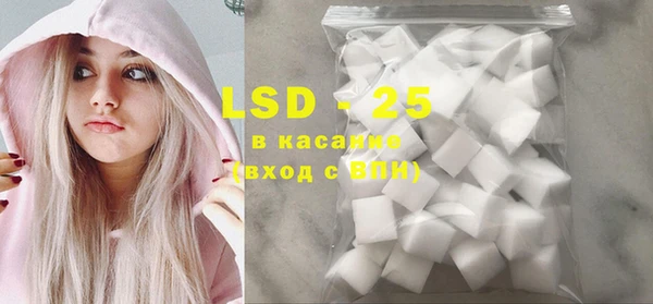 индика Беломорск