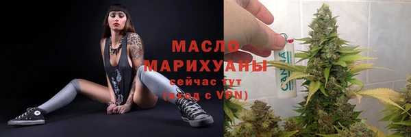 индика Беломорск