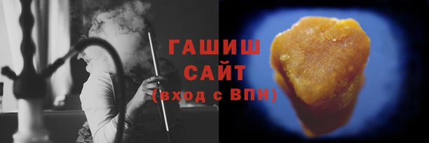 индика Беломорск