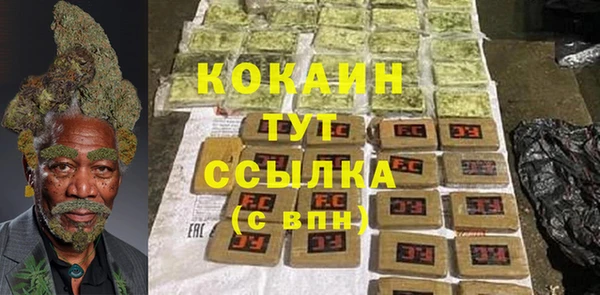 индика Беломорск