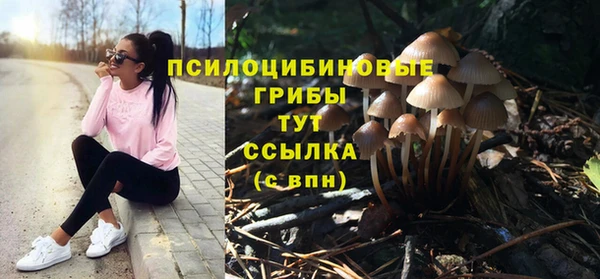 индика Беломорск