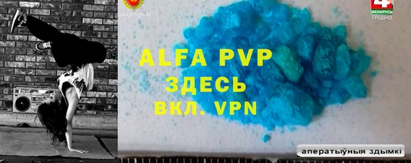 индика Беломорск