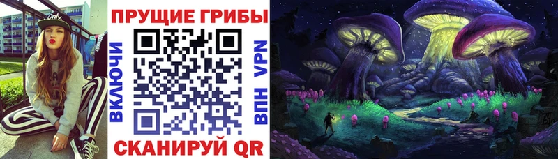 Галлюциногенные грибы Psilocybe  купить наркоту  Малоярославец 