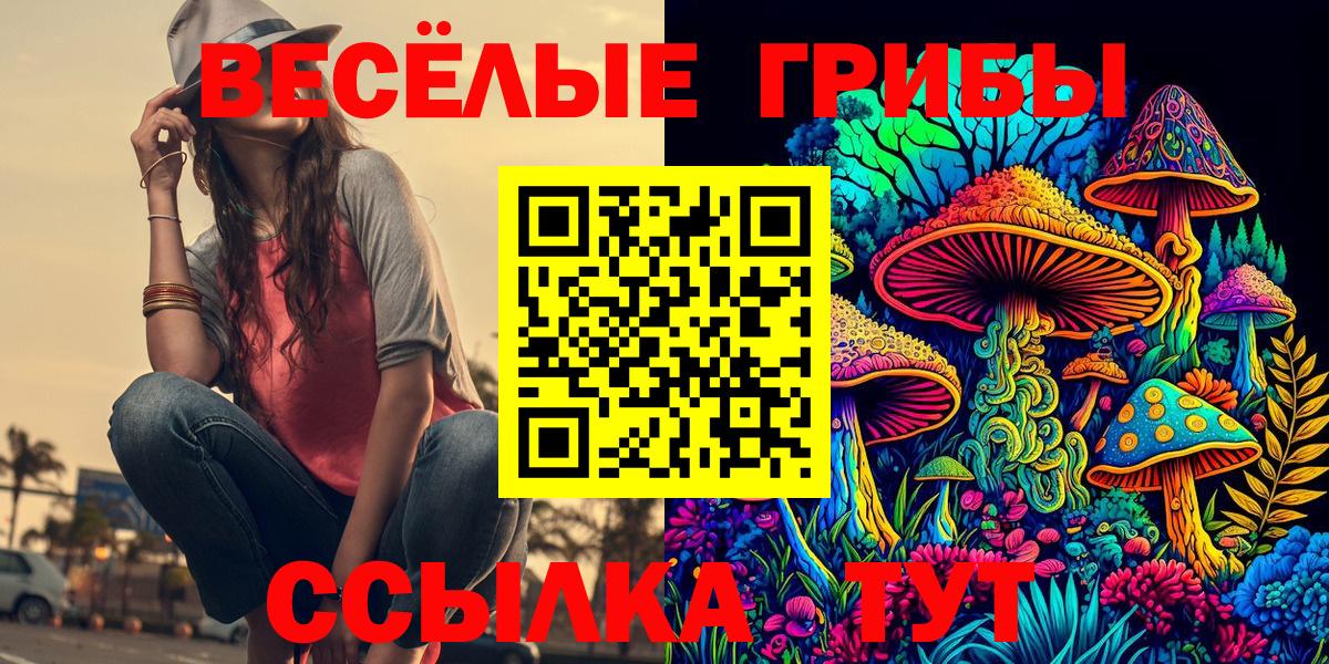 Псилоцибиновые грибы мицелий  купить наркоту  Псилоцибиновые грибы Magic Shrooms  Малоярославец  Вход с VPN 